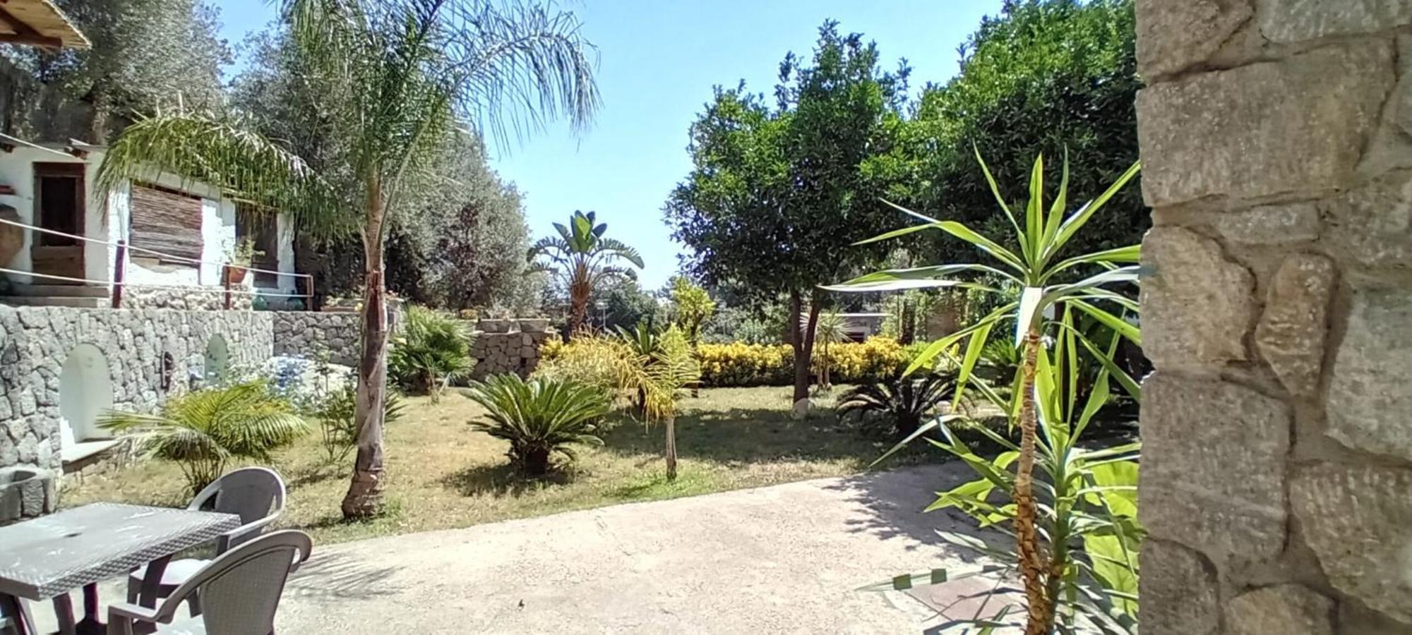 B&B Carpe Diem Domus Ischia Exterior foto